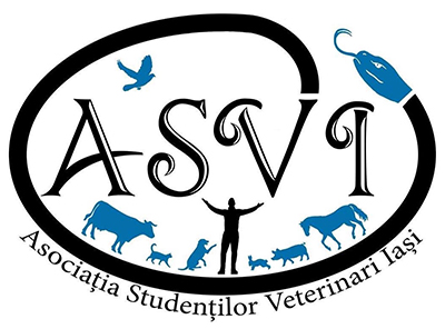 ASVI