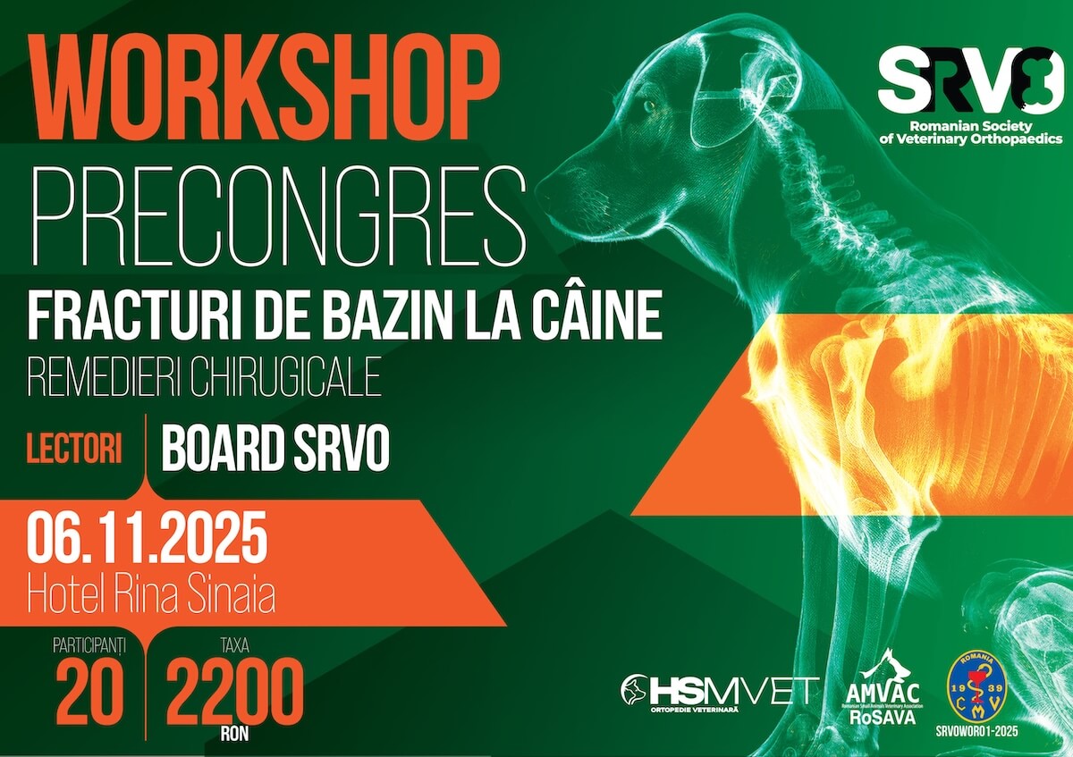 Workshop SRVO | AMVAC 2025
