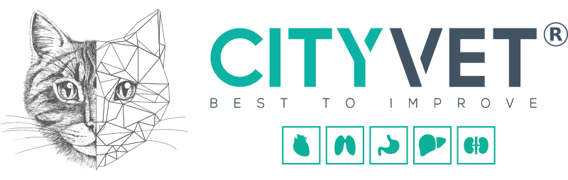 City Vet